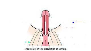A difficulty male orgasm explained